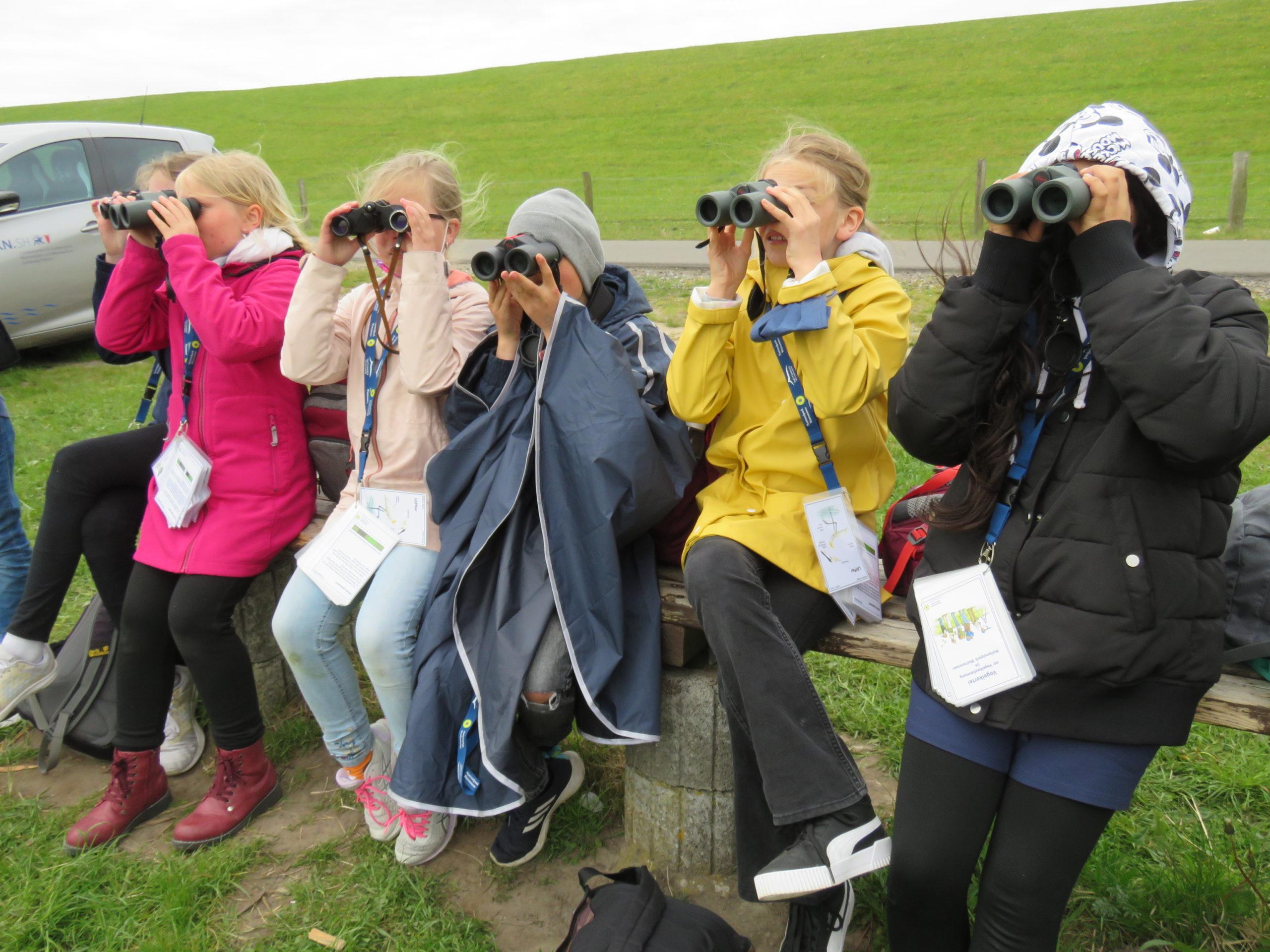 Read more about the article Ein spannender Ausflug zum “Vogelkiek” im Speicherkoog