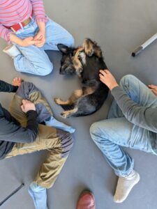 Read more about the article Bericht vom OGT-Kurs mit Anne und Fredo